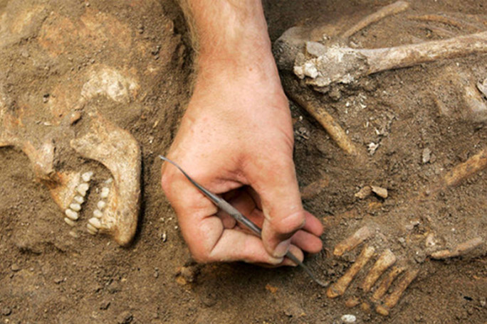 Cámara funeraria real descubierta en Megiddo bíblico - Patrones de evidencia: la controversia de Moisés